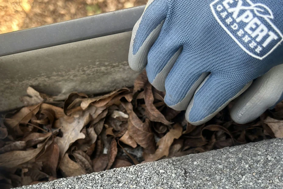 Homewood Gutter Cleaning