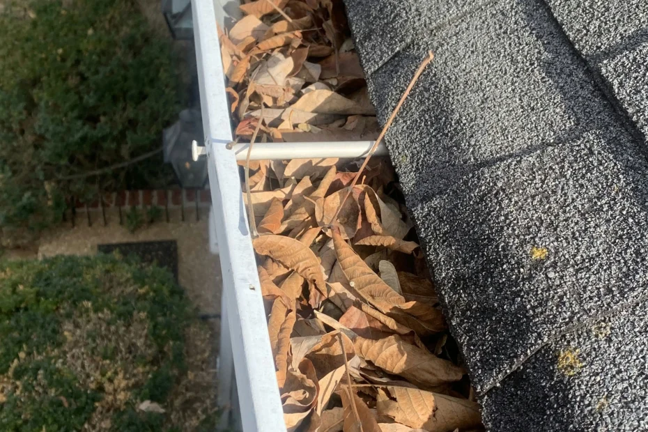 Homewood Gutter Cleaning